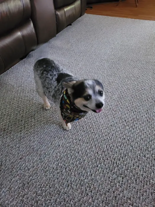 Banfield Pet Hospital Picture 5