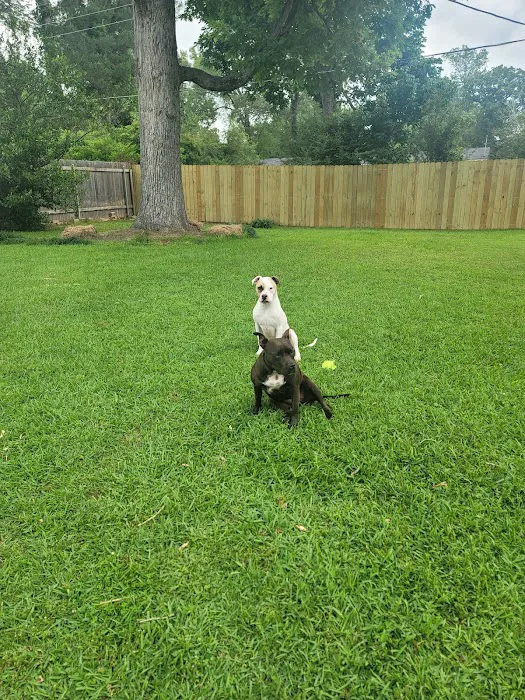 Banfield Pet Hospital Picture 7