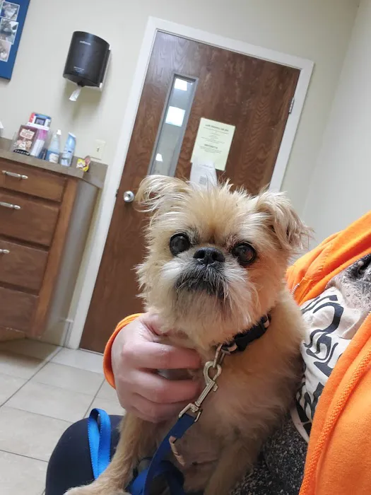 Airline Animal Health and Surgery Center LLC Picture 4