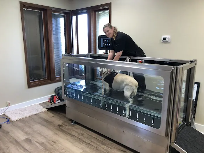 Airline Animal Health and Surgery Center LLC Picture 8