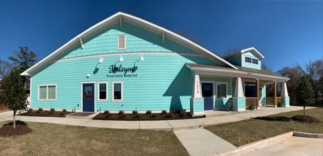 Halcyon Veterinary Hospital Picture 2