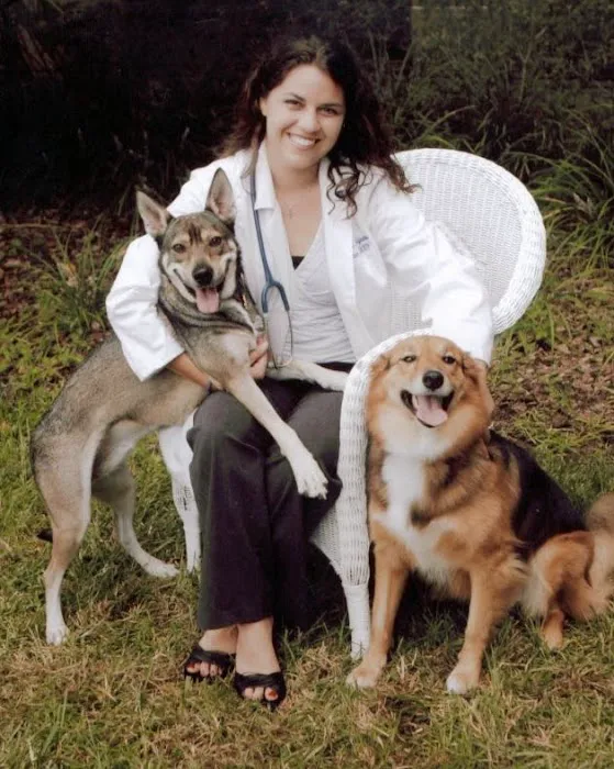 Halcyon Veterinary Hospital Picture 7