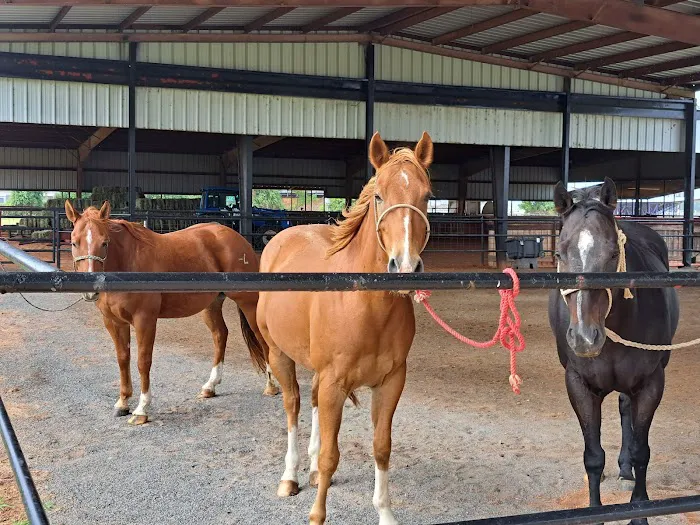 Red River Equine Hospital Picture 1