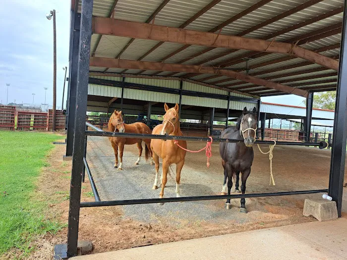 Red River Equine Hospital Picture 2