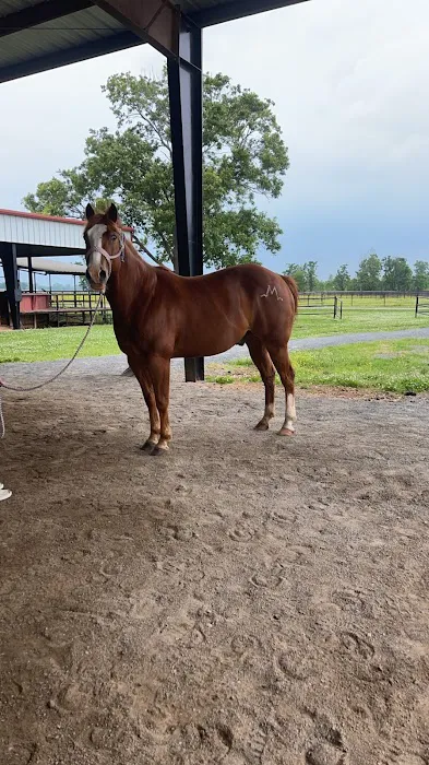 Red River Equine Hospital Picture 4