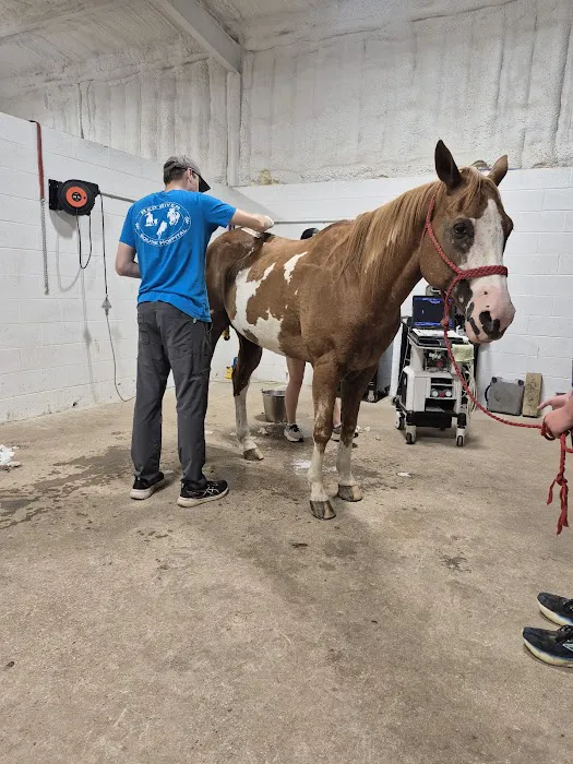 Red River Equine Hospital Picture 9