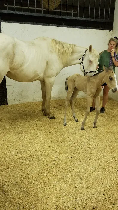 Red River Equine Hospital Picture 7
