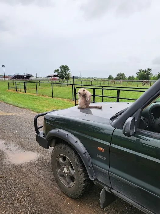 Red River Equine Hospital Picture 8
