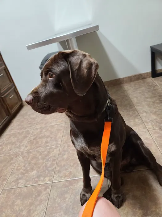Benton Animal Hospital Picture 9