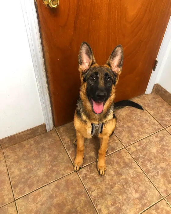 Benton Animal Hospital Picture 8