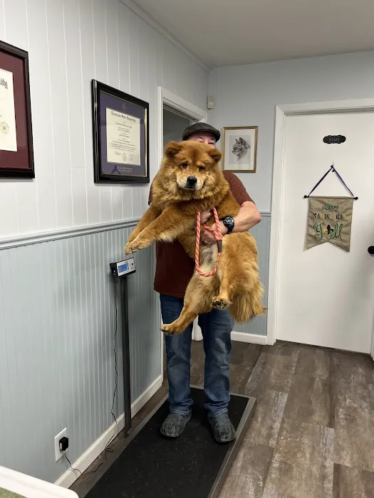 Southside Animal Hospital Picture 10