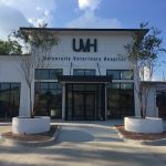 University Veterinary Hospital