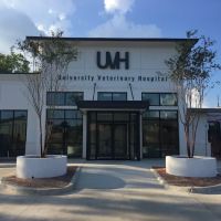 University Veterinary Hospital ico