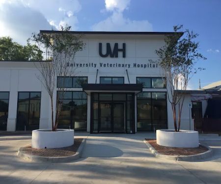 University Veterinary Hospital