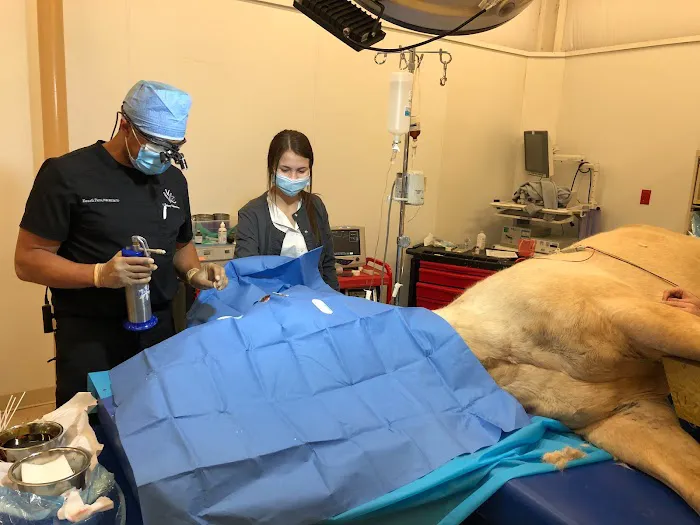 Veterinary Vision Center Picture 1