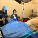 Veterinary Vision Center