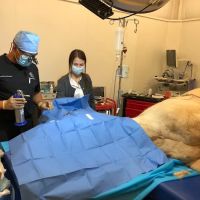Veterinary Vision Center ico