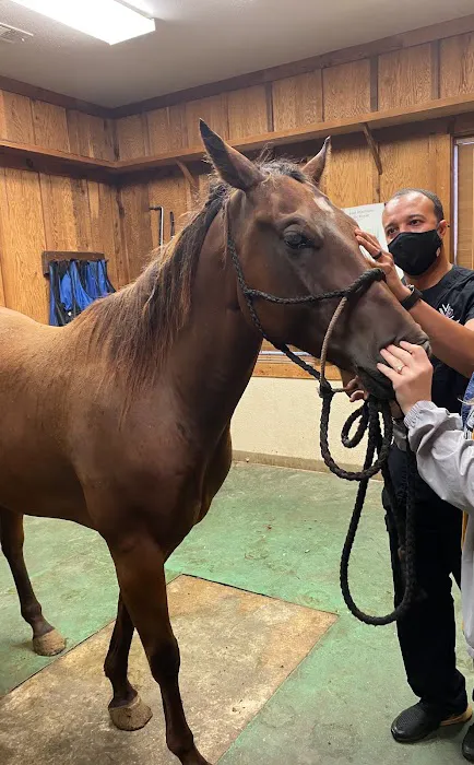 Veterinary Vision Center Picture 9