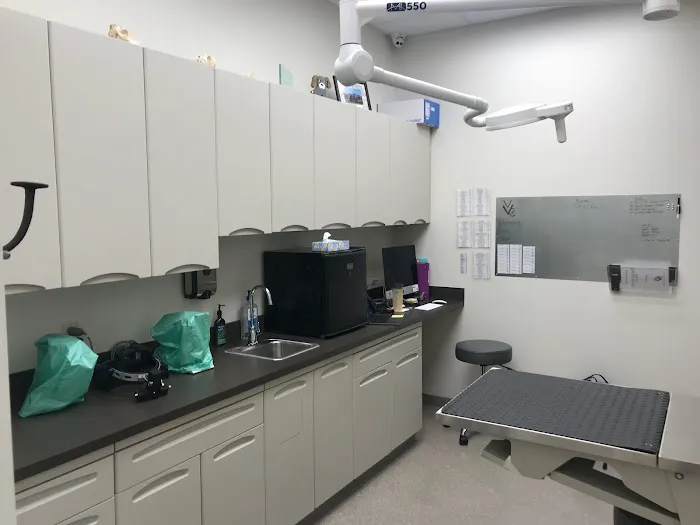 Veterinary Vision Center Picture 7