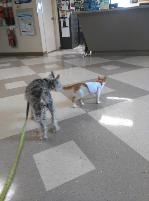 Riverside Animal Hospital LLC Picture 1
