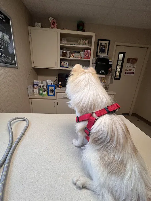 Riverside Animal Hospital LLC Picture 2