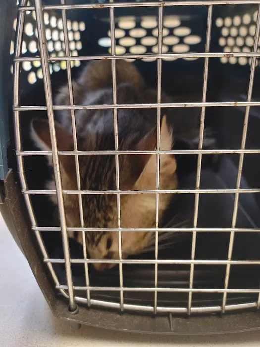 Riverside Animal Hospital LLC Picture 4