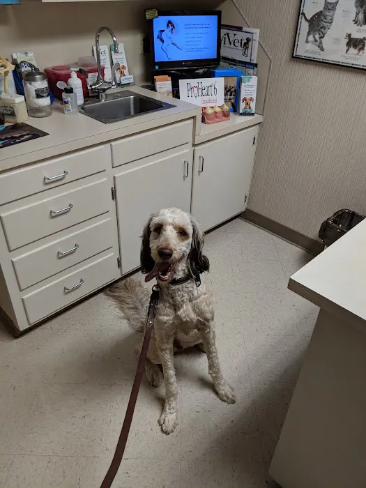 Riverside Animal Hospital LLC Picture 8