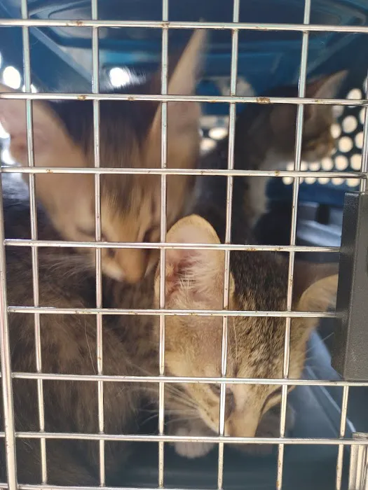 Riverside Animal Hospital LLC Picture 5
