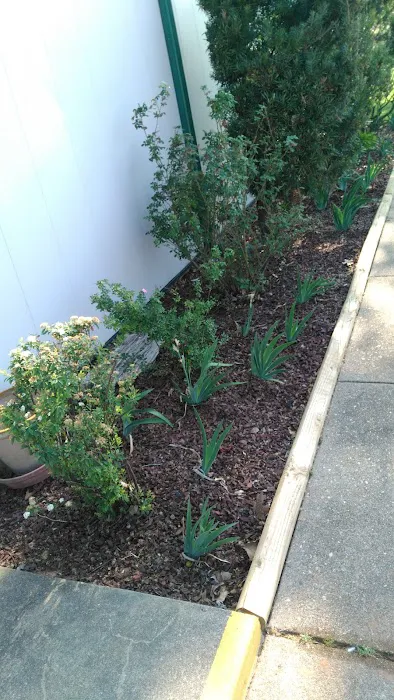 Riverside Animal Hospital LLC Picture 7