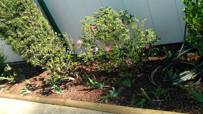 Riverside Animal Hospital LLC Picture 9