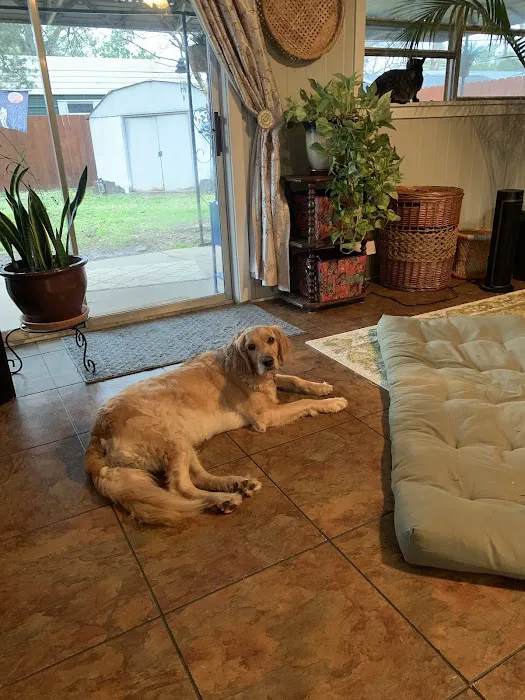 Towne South Animal Hospital Picture 6