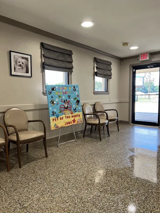 Towne South Animal Hospital Picture 10