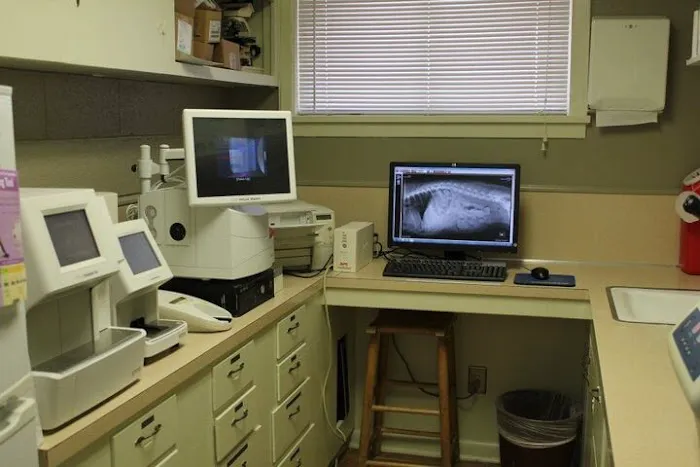 Bossier Animal Hospital Picture 6