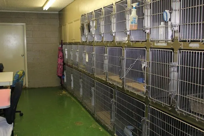 Bossier Animal Hospital Picture 10
