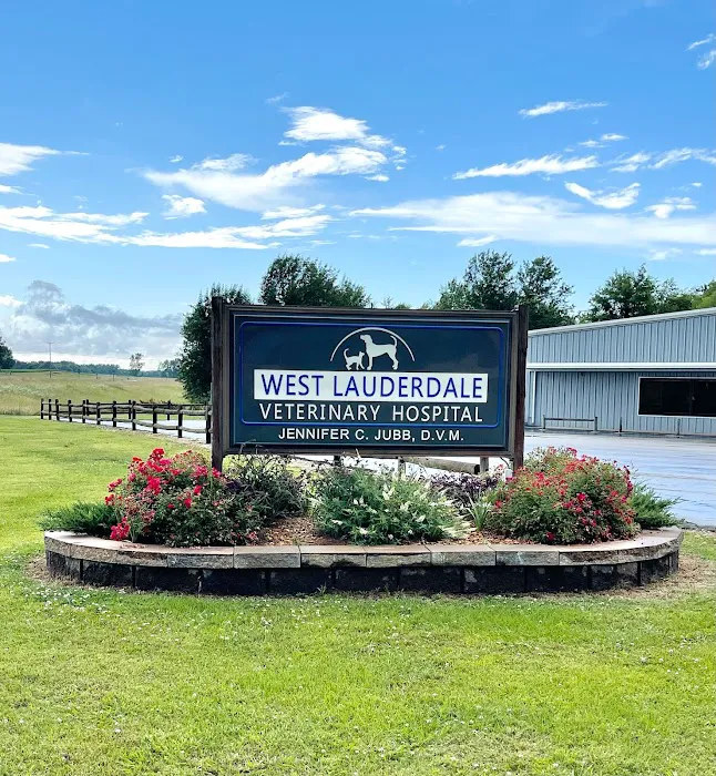 West Lauderdale Veterinary Hospital Picture 7