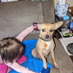 Moulton Veterinary Hospital