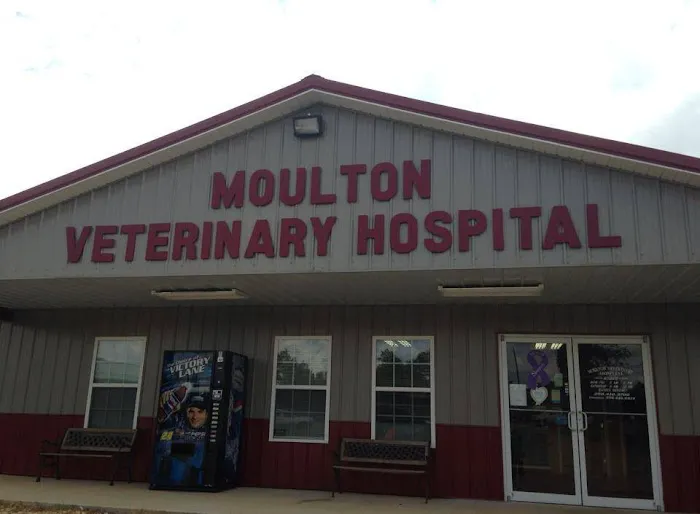 Moulton Veterinary Hospital Picture 4