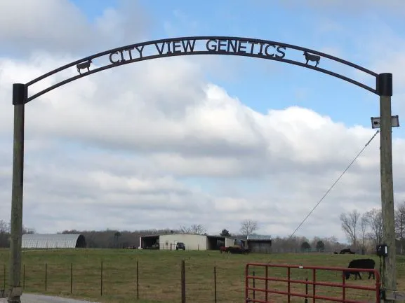 City View Genetics Picture 1
