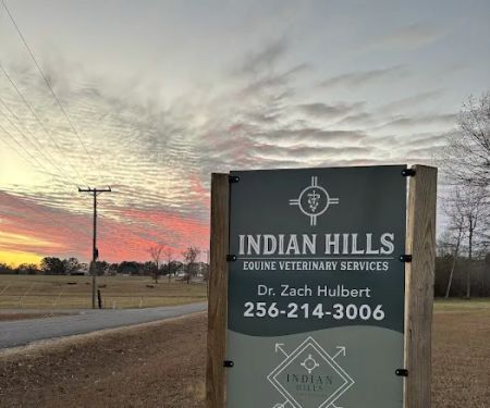 Indian Hills Equine Veterinary Services