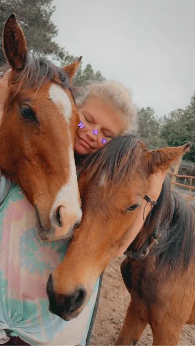 Indian Hills Equine Veterinary Services Picture 3