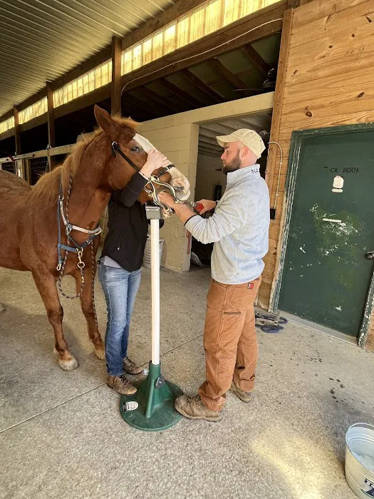 Indian Hills Equine Veterinary Services Picture 7