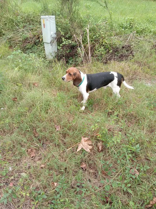 County Line Veterinary Services, LLC Picture 1