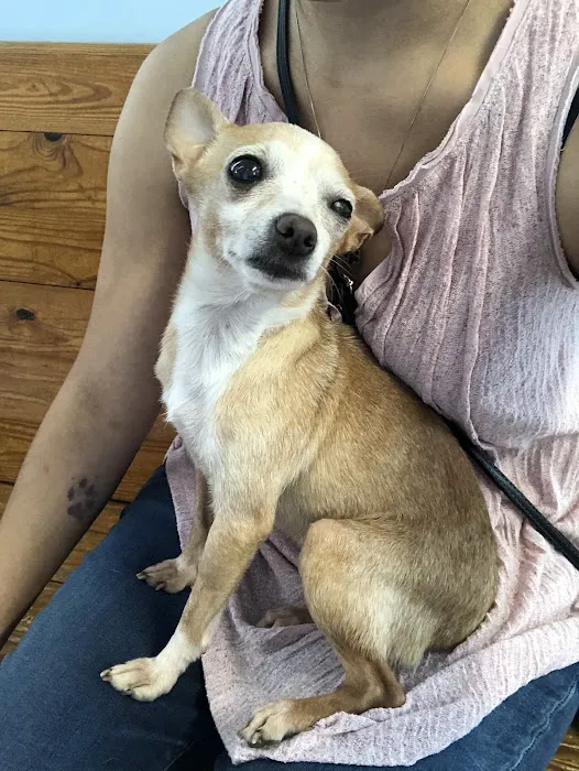 County Line Veterinary Services, LLC Picture 2