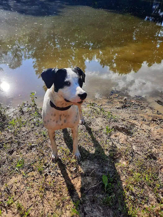 County Line Veterinary Services, LLC Picture 7