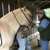 Flint Creek Veterinary Services ico