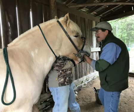 Flint Creek Veterinary Services
