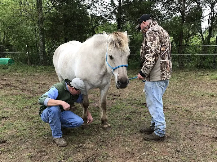 Flint Creek Veterinary Services Picture 3