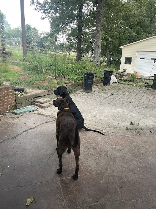 Decatur Animal Care PC Picture 8