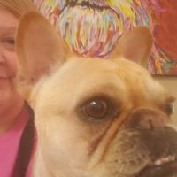 Dr. Kelly B. Griffith ico