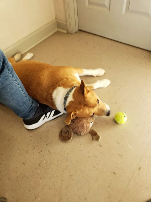 Beltline Animal Clinic Picture 8
